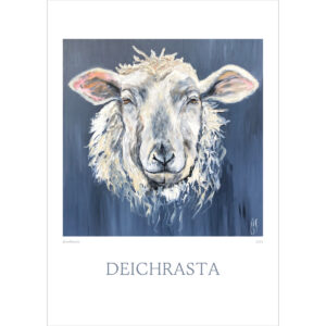 Start Druck "DEICHRASTA"