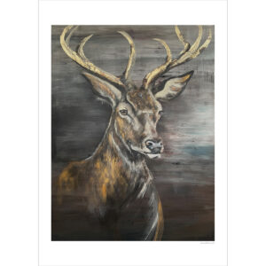 Druck "Johannes Anglicus"